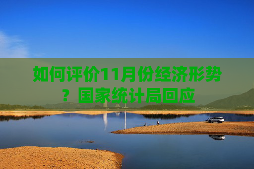 如何评价11月份经济形势？国家统计局回应