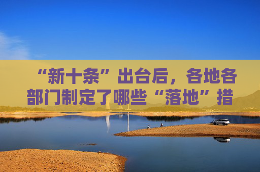 “新十条”出台后，各地各部门制定了哪些“落地”措施？国家疾控局回应