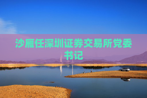 沙雁任深圳证券交易所党委书记