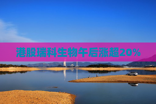 港股瑞科生物午后涨超20%