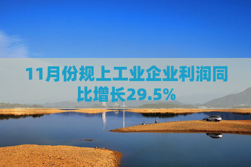 11月份规上工业企业利润同比增长29.5%
