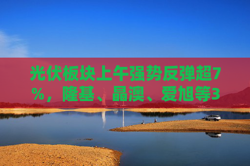 光伏板块上午强势反弹超7%，隆基、晶澳、爱旭等30股涨停