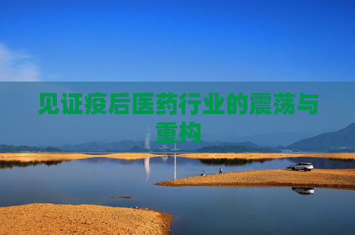 见证疫后医药行业的震荡与重构