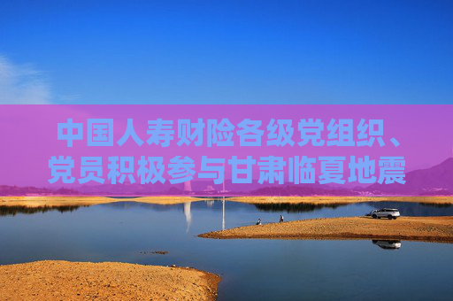 中国人寿财险各级党组织、党员积极参与甘肃临夏地震抗震救灾工作侧写