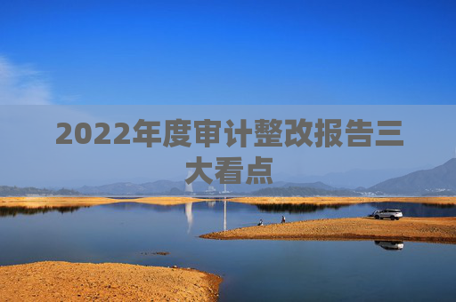 2022年度审计整改报告三大看点