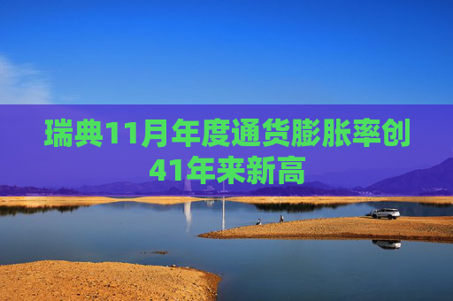 瑞典11月年度通货膨胀率创41年来新高