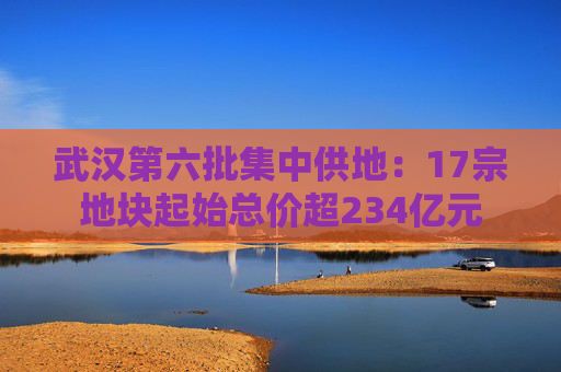 武汉第六批集中供地：17宗地块起始总价超234亿元