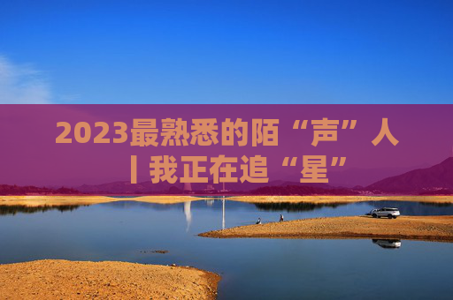 2023最熟悉的陌“声”人丨我正在追“星”