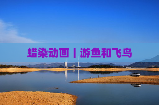 蜡染动画丨游鱼和飞鸟