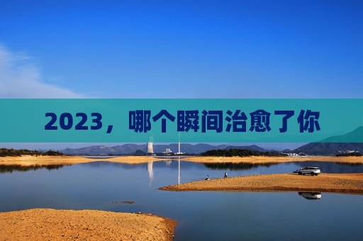 2023，哪个瞬间治愈了你