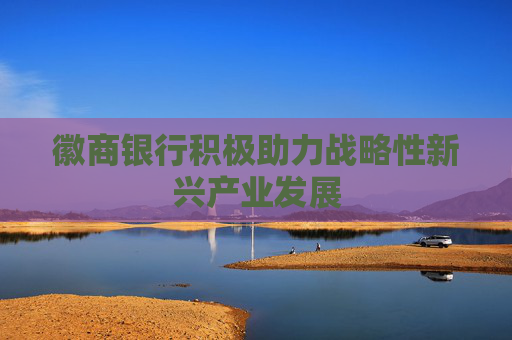 徽商银行积极助力战略性新兴产业发展