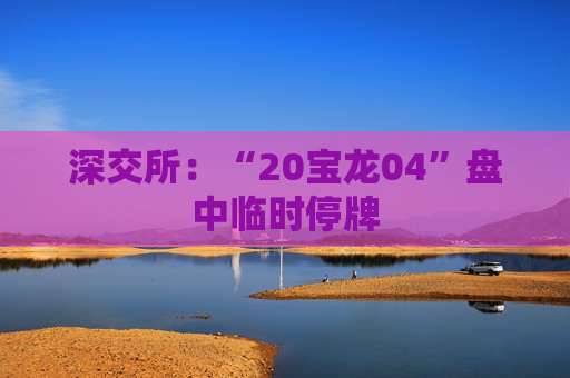 深交所：“20宝龙04”盘中临时停牌
