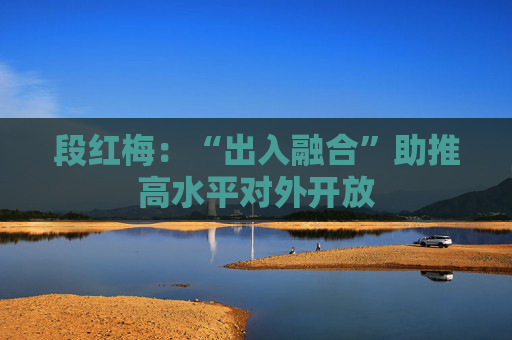 段红梅：“出入融合”助推高水平对外开放