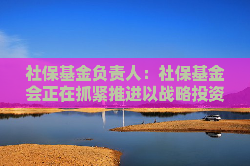 社保基金负责人：社保基金会正在抓紧推进以战略投资者身份参与上市公司非公开发行