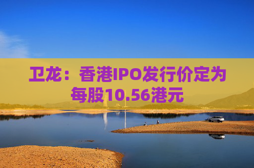 卫龙：香港IPO发行价定为每股10.56港元