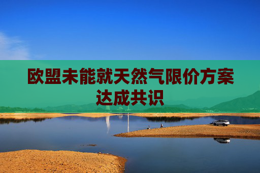 欧盟未能就天然气限价方案达成共识