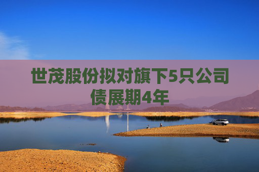 世茂股份拟对旗下5只公司债展期4年