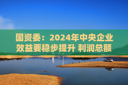 国资委：2024年中央企业效益要稳步提升 利润总额、净利润和归母净利润协同增长