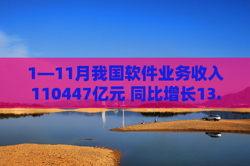 1—11月我国软件业务收入110447亿元 同比增长13.9%