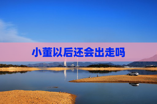 小董以后还会出走吗