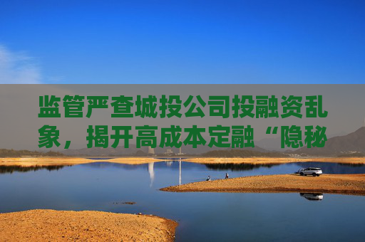 监管严查城投公司投融资乱象，揭开高成本定融“隐秘的角落”