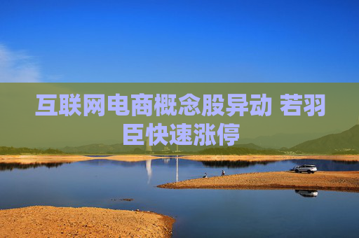 互联网电商概念股异动 若羽臣快速涨停