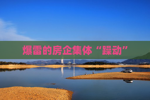 爆雷的房企集体“躁动”