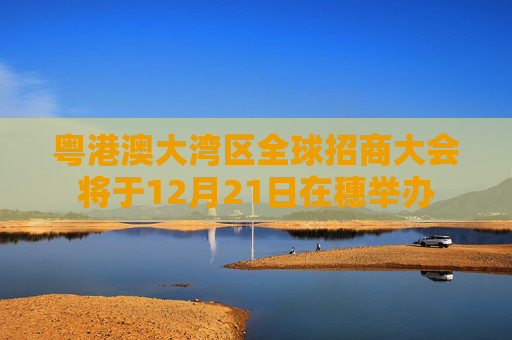 粤港澳大湾区全球招商大会将于12月21日在穗举办