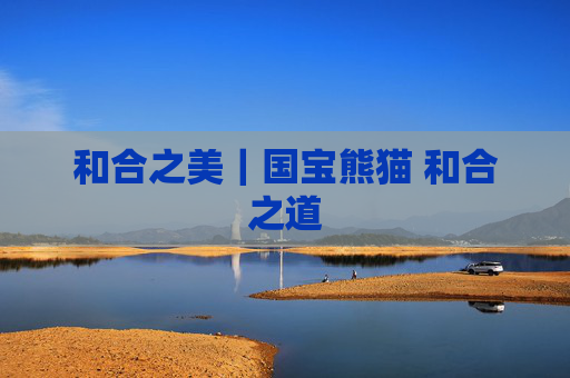 和合之美｜国宝熊猫 和合之道