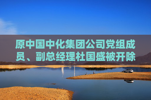 原中国中化集团公司党组成员、副总经理杜国盛被开除党籍