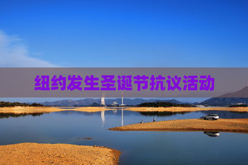 纽约发生圣诞节抗议活动