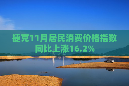 捷克11月居民消费价格指数同比上涨16.2%