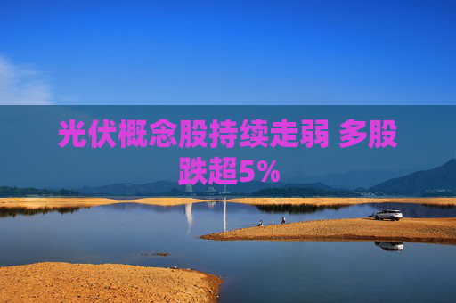 光伏概念股持续走弱 多股跌超5%
