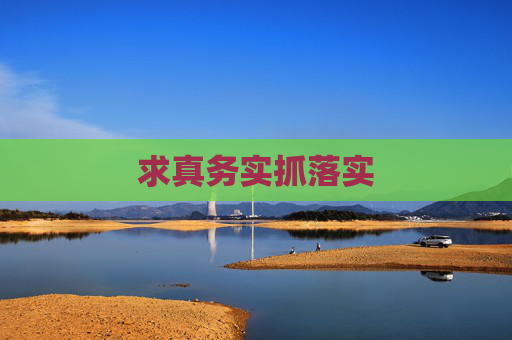 求真务实抓落实