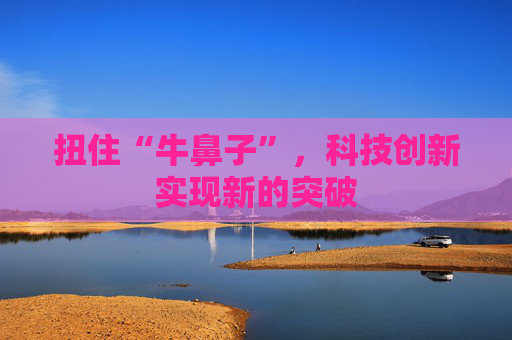 扭住“牛鼻子”，科技创新实现新的突破