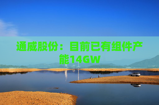 通威股份：目前已有组件产能14GW