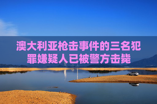 澳大利亚枪击事件的三名犯罪嫌疑人已被警方击毙