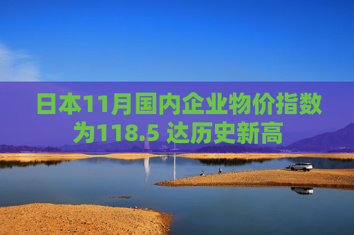 日本11月国内企业物价指数为118.5 达历史新高