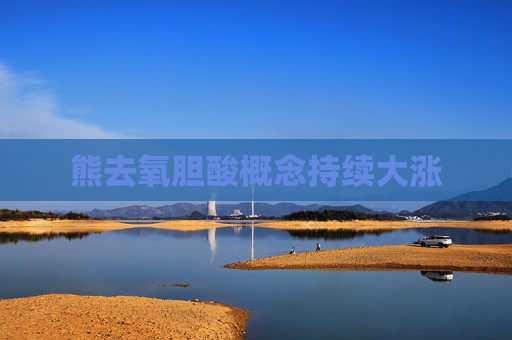 熊去氧胆酸概念持续大涨