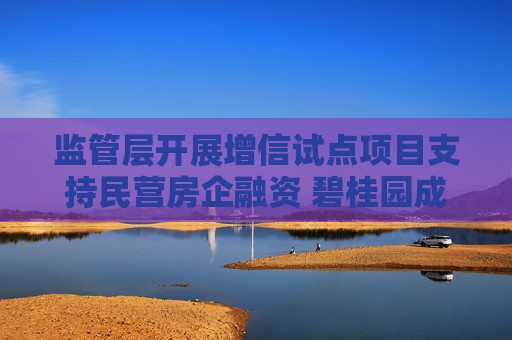 监管层开展增信试点项目支持民营房企融资 碧桂园成功发行10亿元公司债