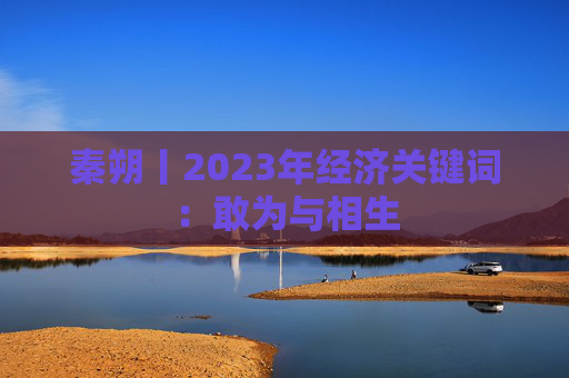 秦朔丨2023年经济关键词：敢为与相生