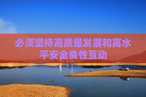 必须坚持高质量发展和高水平安全良性互动
