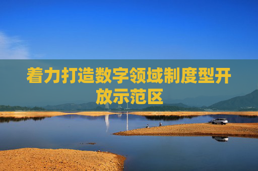 着力打造数字领域制度型开放示范区