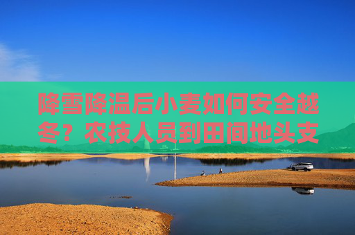 降雪降温后小麦如何安全越冬？农技人员到田间地头支招