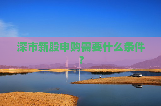 深市新股申购需要什么条件？