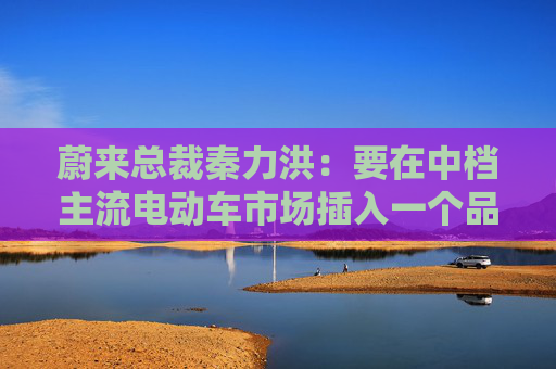 蔚来总裁秦力洪：要在中档主流电动车市场插入一个品牌
