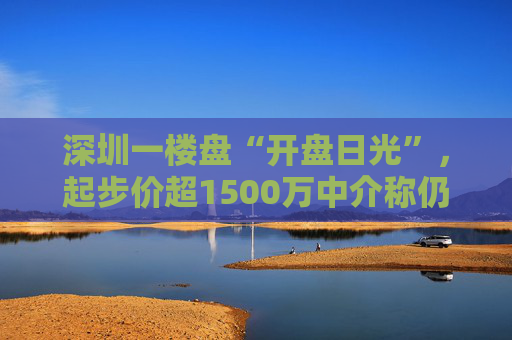 深圳一楼盘“开盘日光”，起步价超1500万中介称仍存“打新”空间