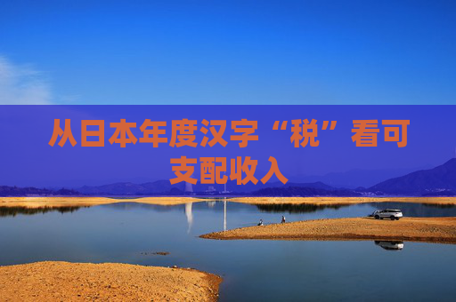从日本年度汉字“税”看可支配收入