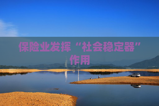 保险业发挥“社会稳定器”作用