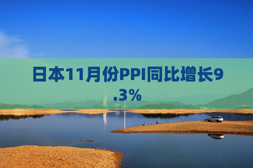 日本11月份PPI同比增长9.3%